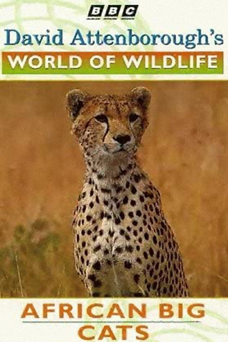 World of Wildlife: African Big Cats poster background