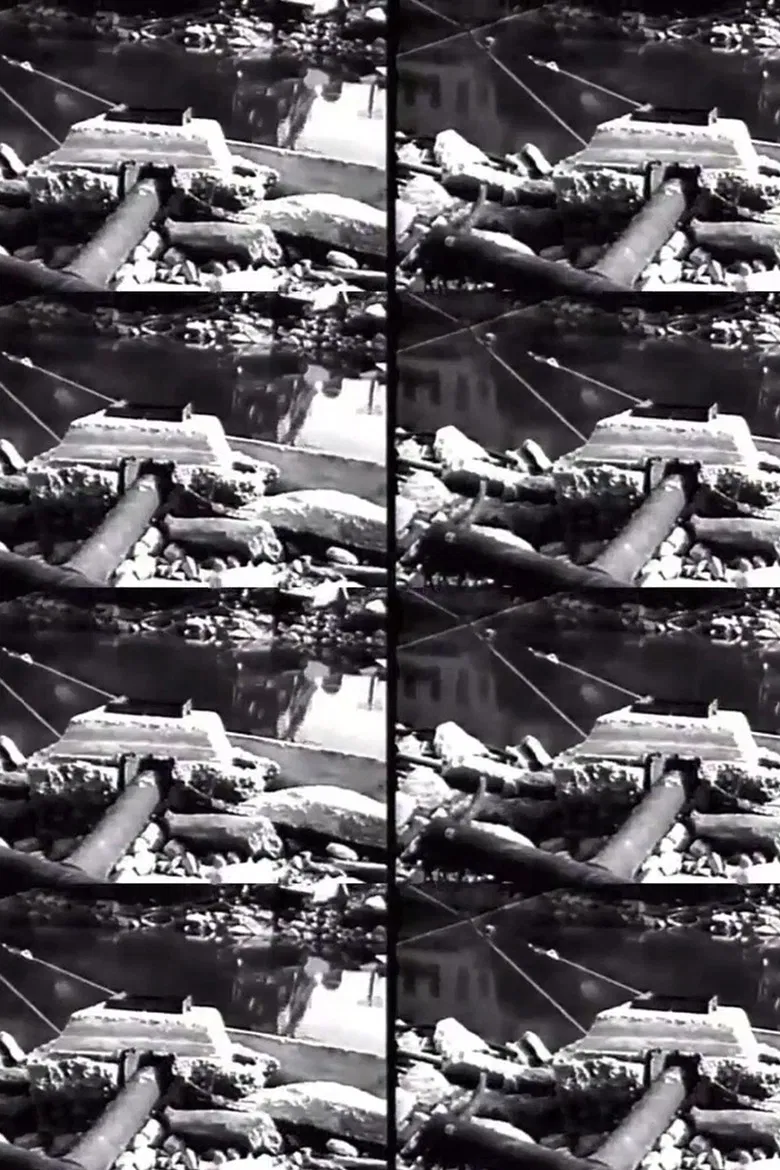 20th Century Wallpaper poster background