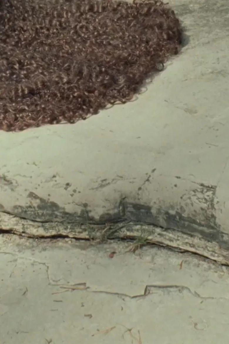 Venus Delta poster background