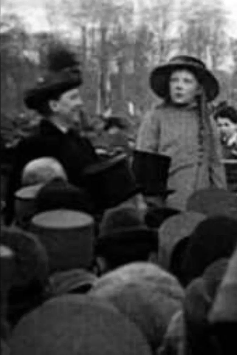 Monster Demonstration on Monday November 18, 1918 on the Malieveld in The Hague poster background