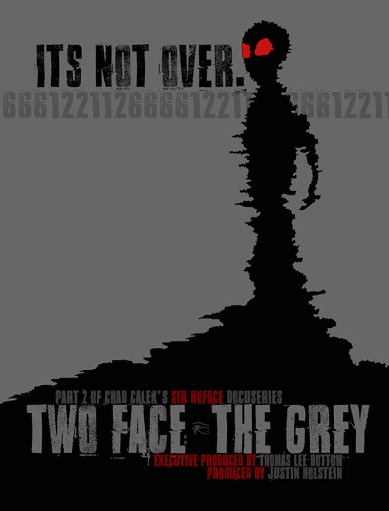 Two Face: The Grey poster background