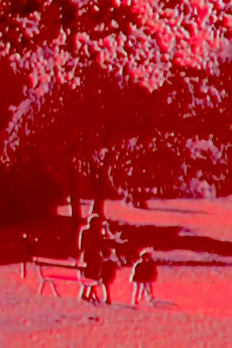 Branches poster background