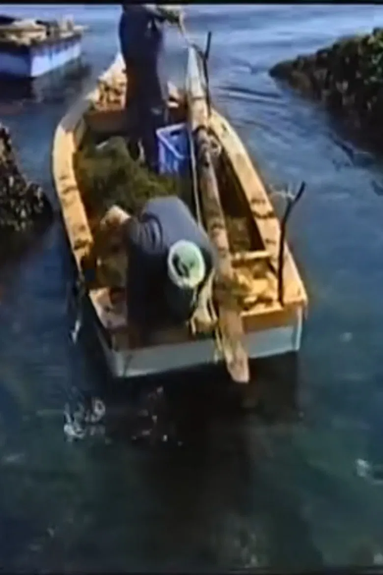 Fishing Moon poster background