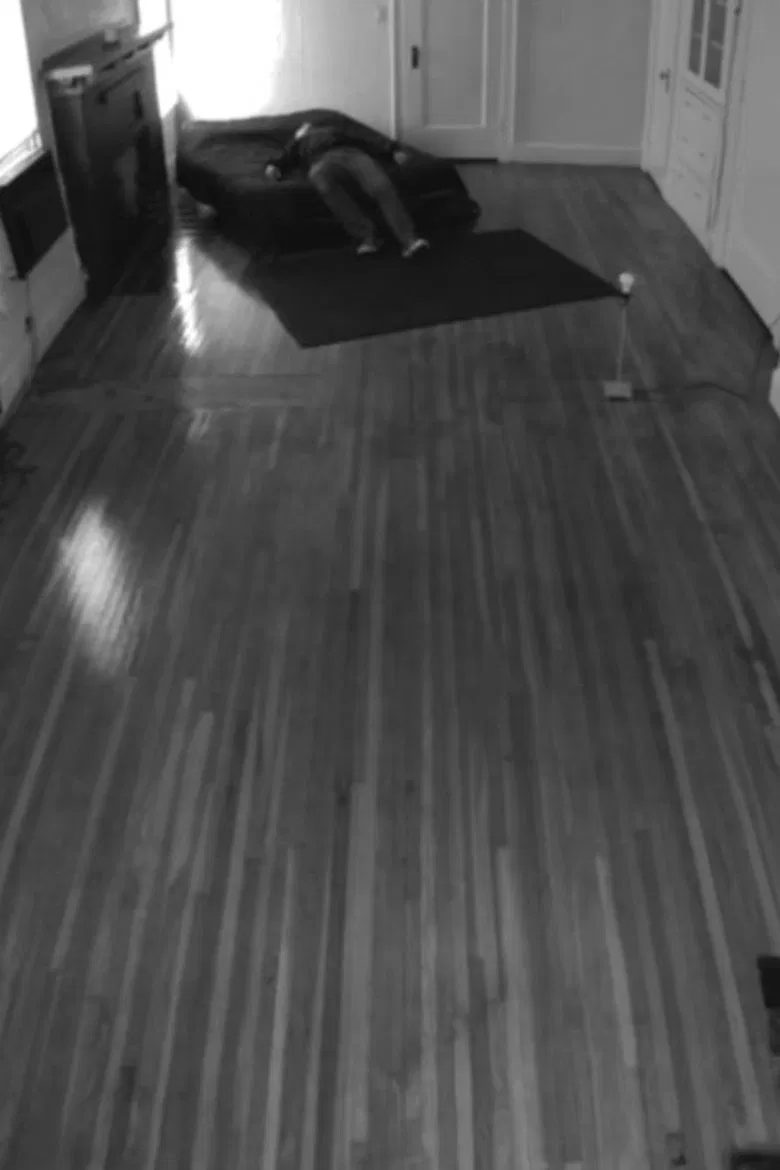 The Forest poster background