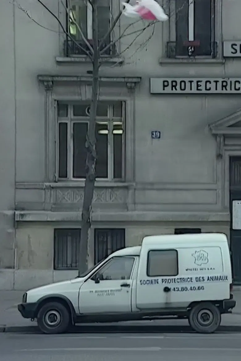 We Are All Cockroaches poster background