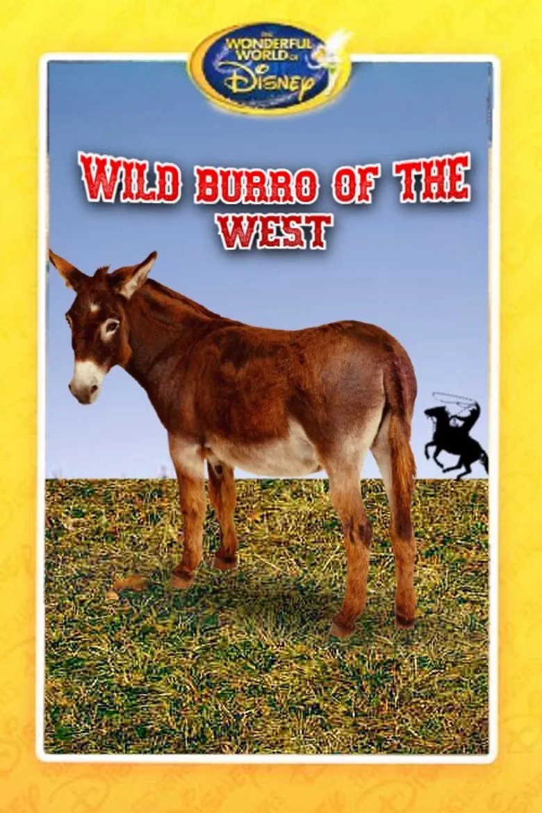 Wild Burro of the West poster background