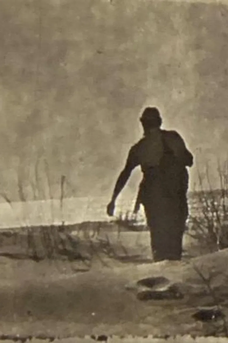 Pinamar poster background