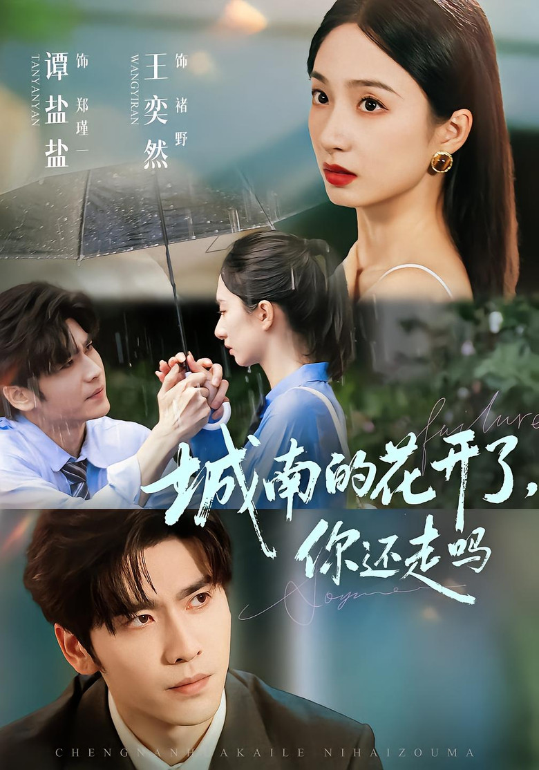 城南的花开了，你还走吗 poster background