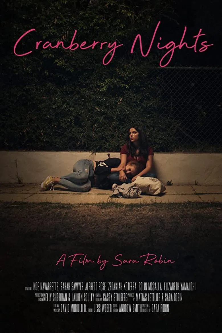 Cranberry Nights poster background