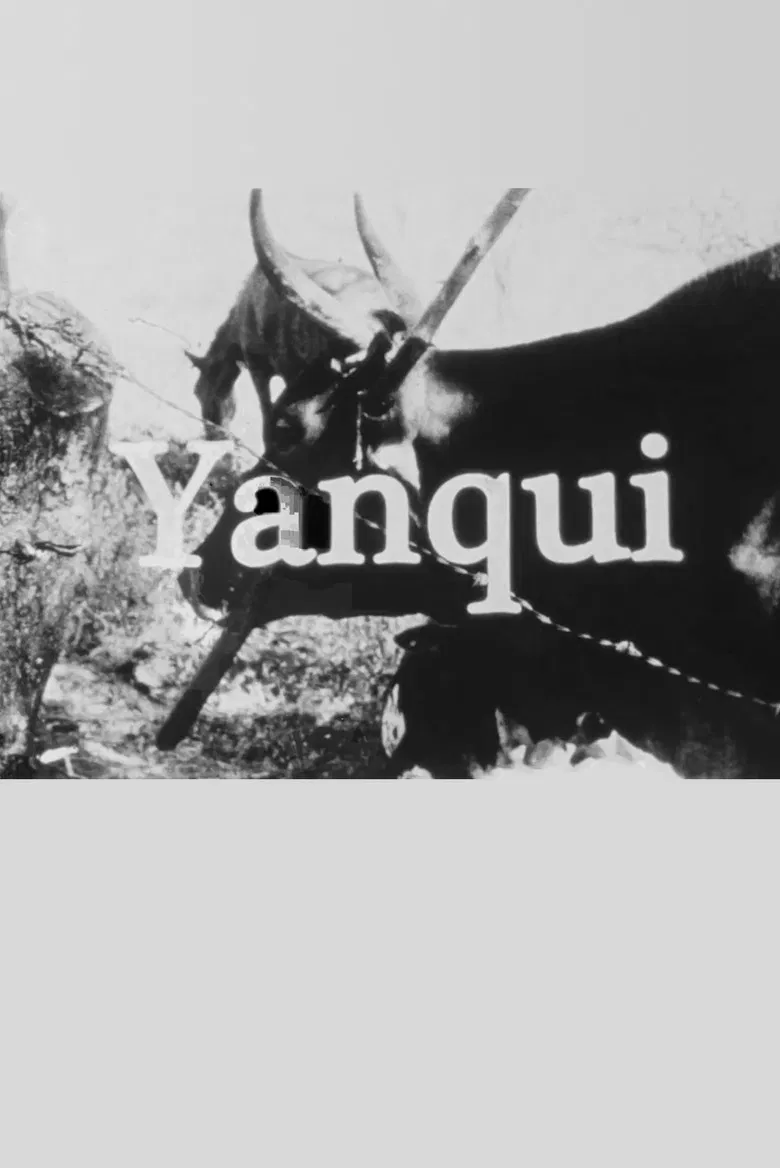 Yanqui WALKER and the OPTICAL REVOLUTION poster background