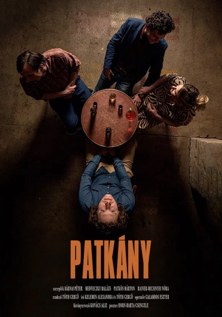 Patkány poster background