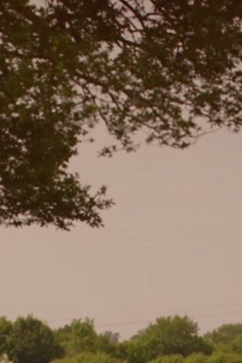 What's Killing Our Bees? poster background