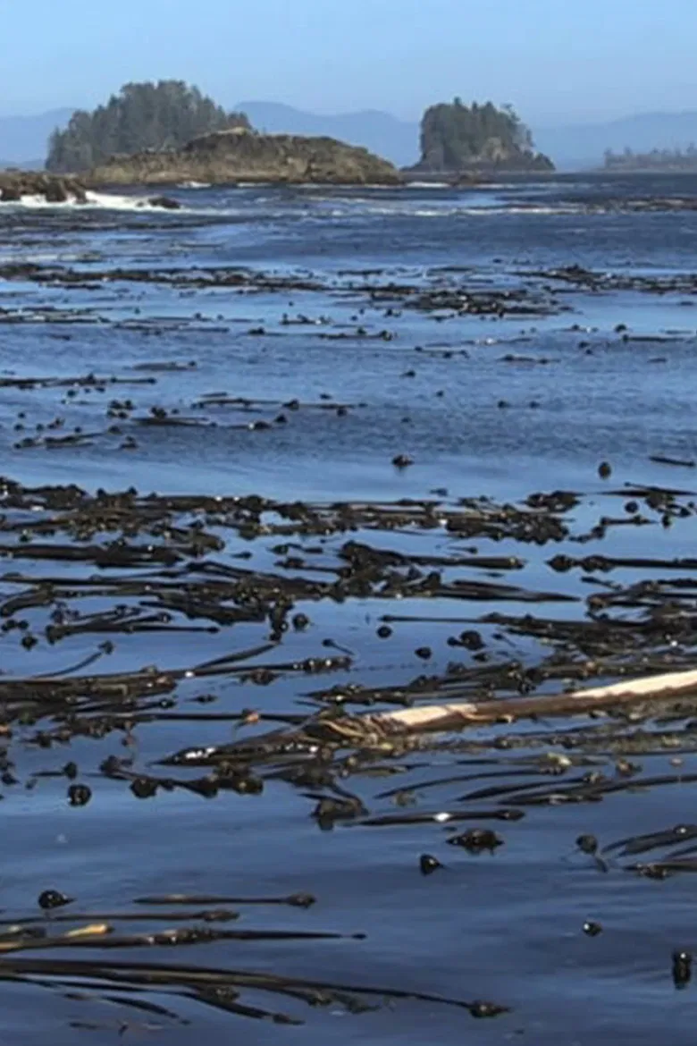 Trace Evidence poster background