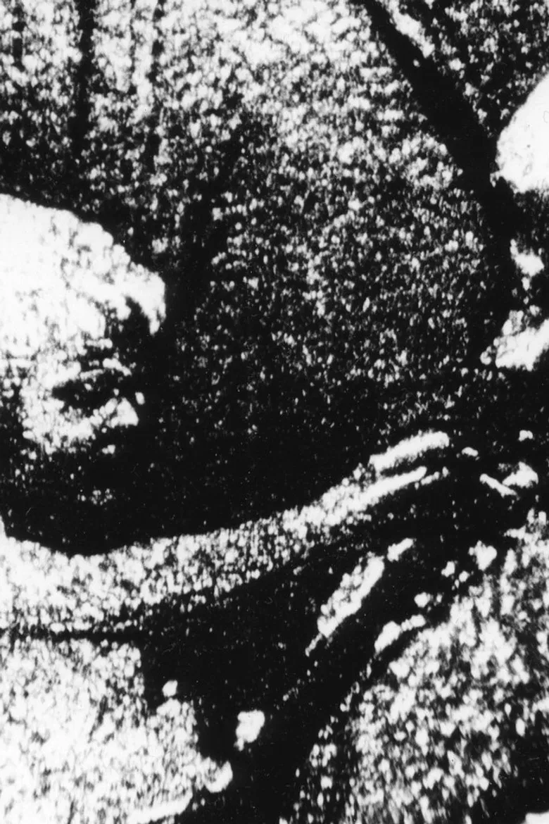 Psalm III: Night of the Meek poster background