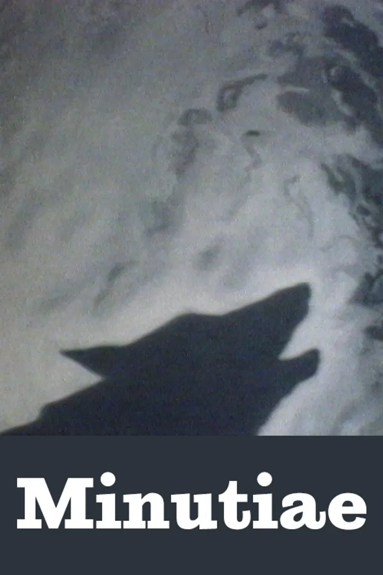 Minutiae poster background
