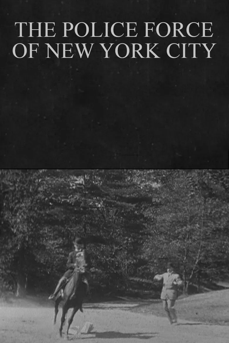 The Police Force of New York City poster background