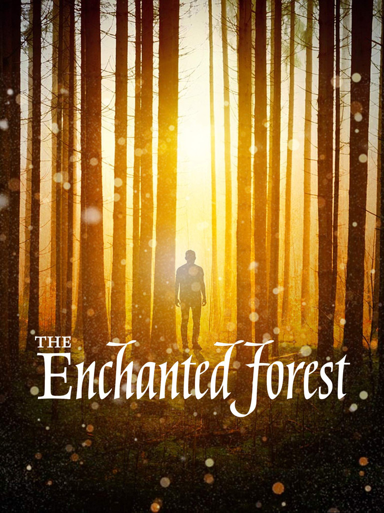 The Enchanted Forest poster background