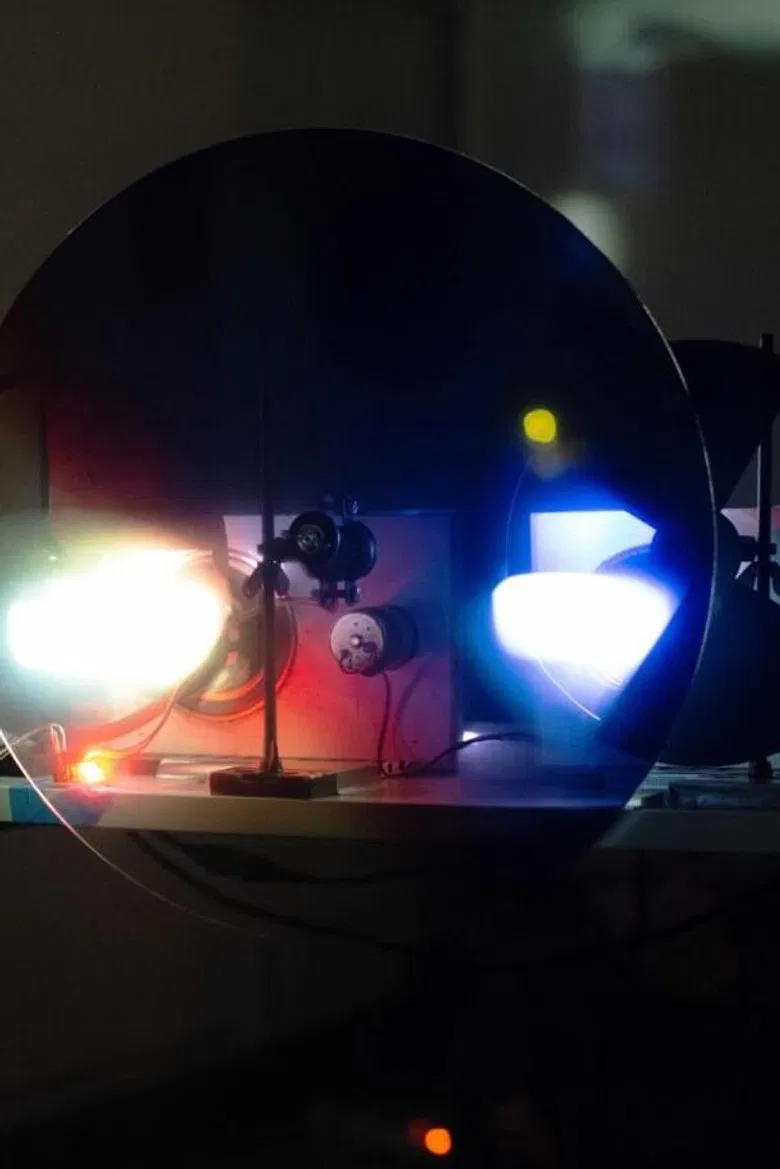 Distant Feeler. Goliatus & Carábida (1977-1997) poster background