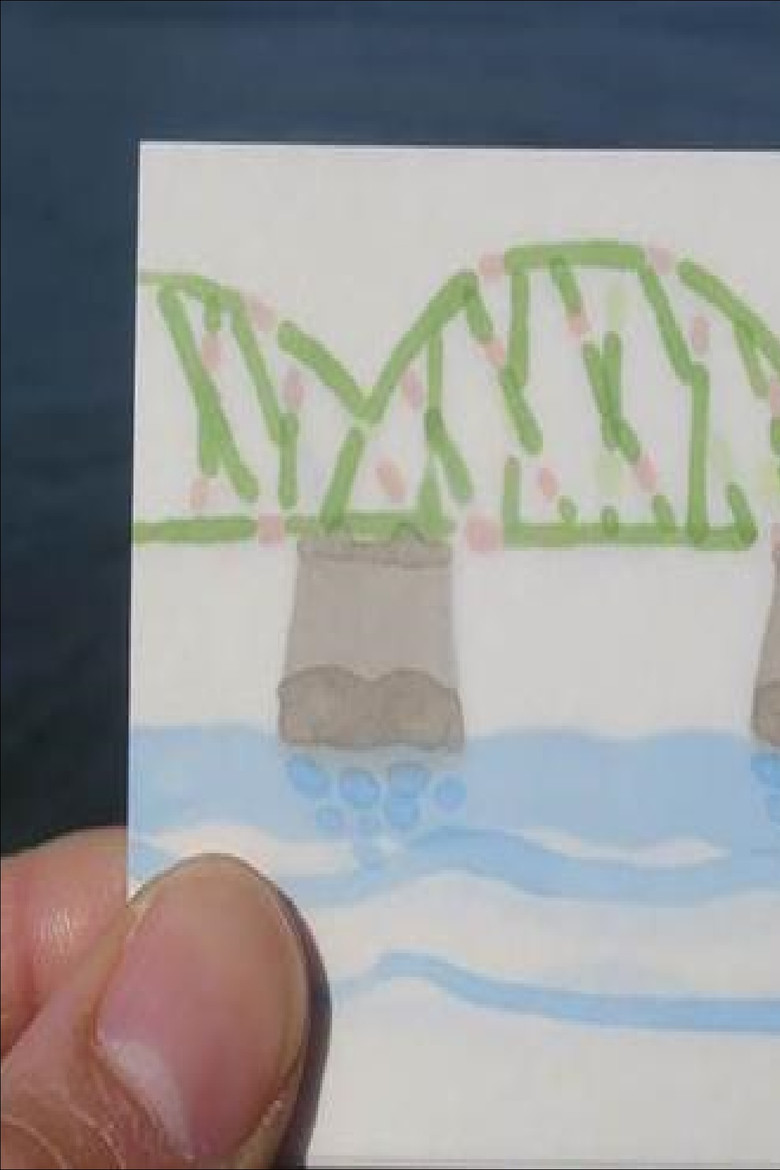 Linz Delight poster background