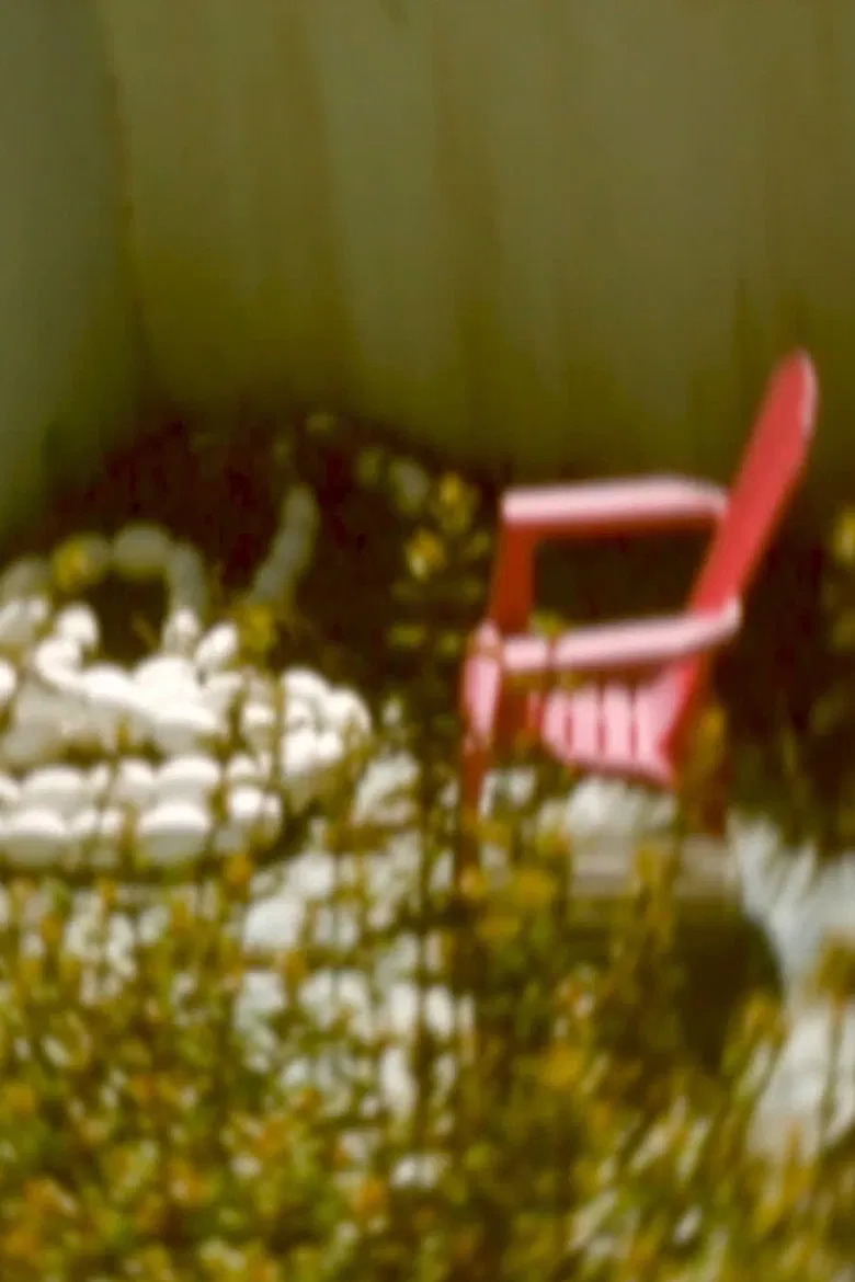 …at large under the sun… poster background