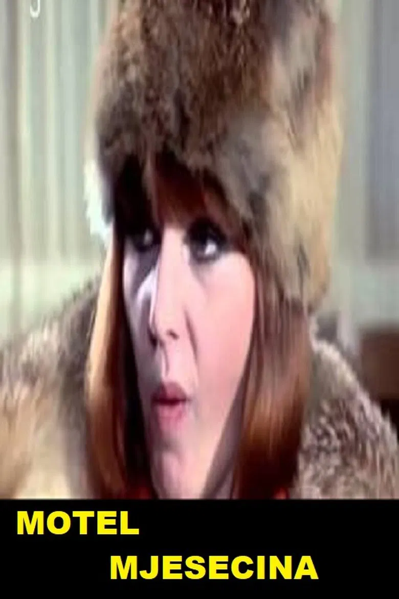 Motel Moonlight poster background