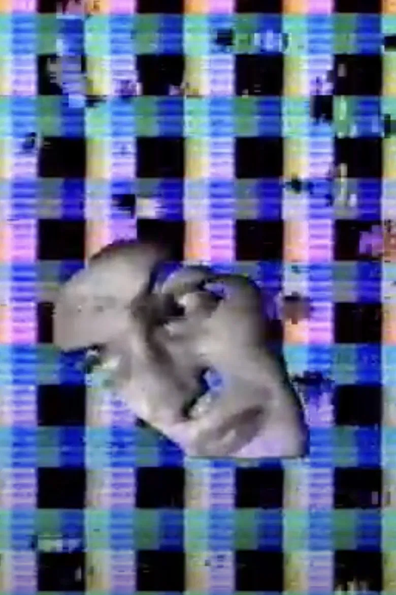 Belle et Sébastien poster background