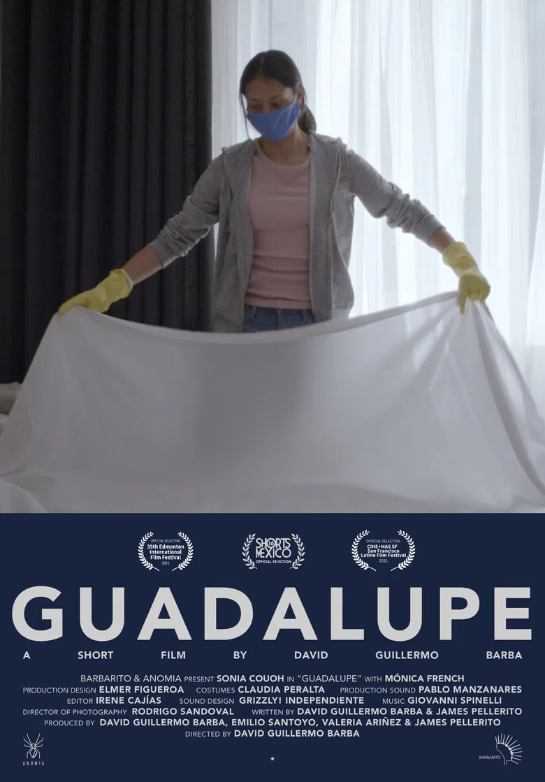 Guadalupe poster background