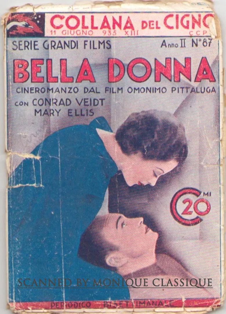 Bella Donna poster background
