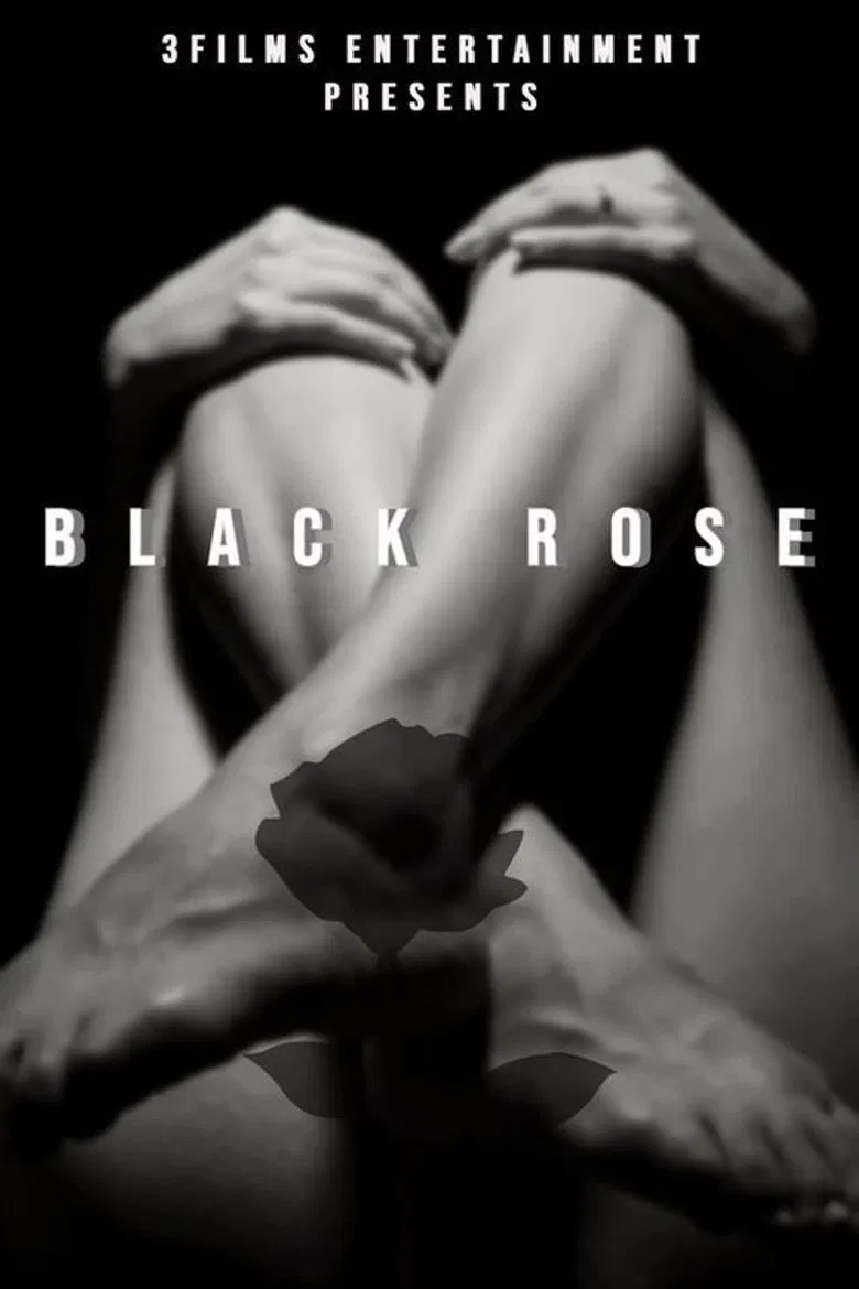 The Black Rose poster background
