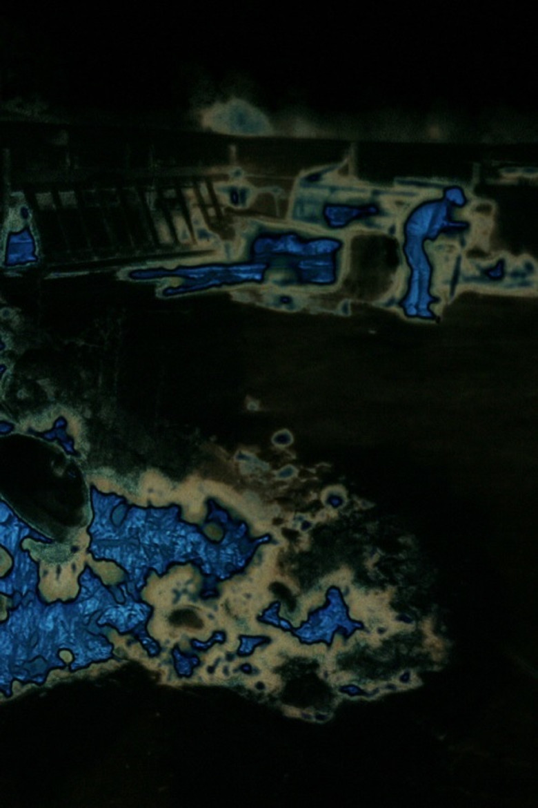 Strawberries in the Summertime poster background