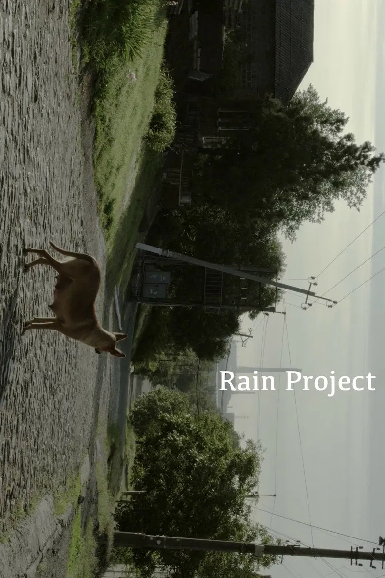 Rain Project poster background