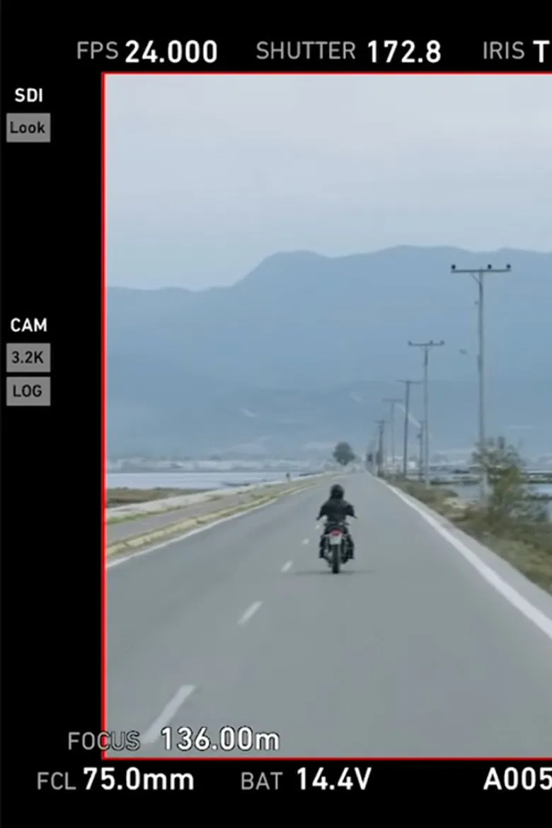 Foghorn poster background