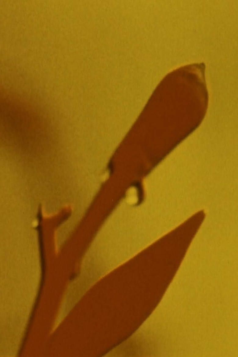 Adams Film poster background