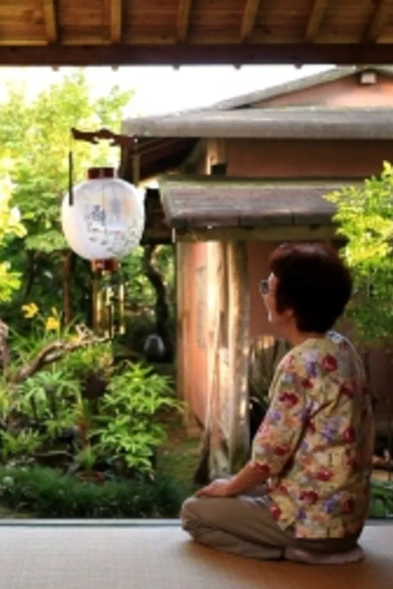 Wakasa poster background