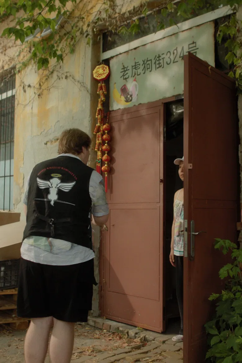 Paws in Paradise poster background