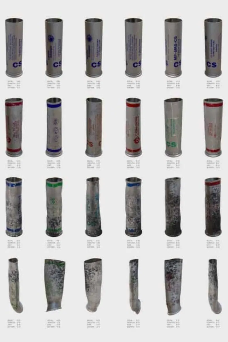 Model Zoo poster background