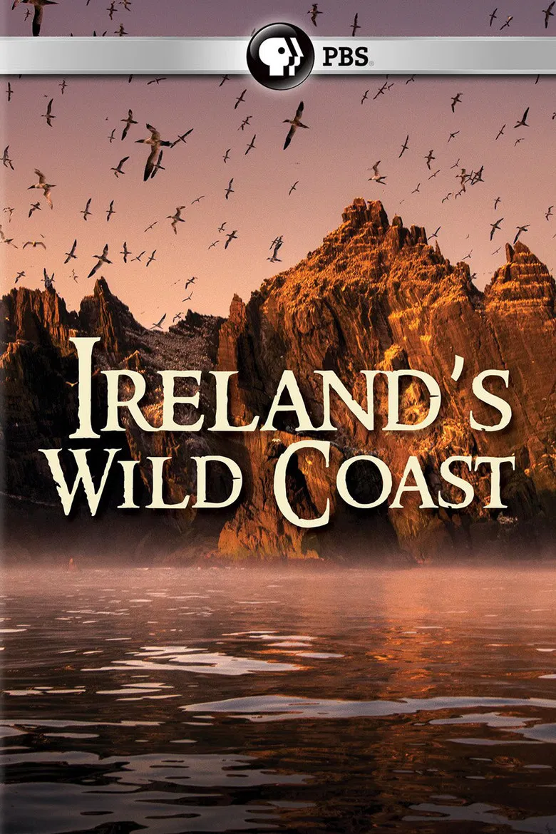 Ireland's Wild Coast poster background