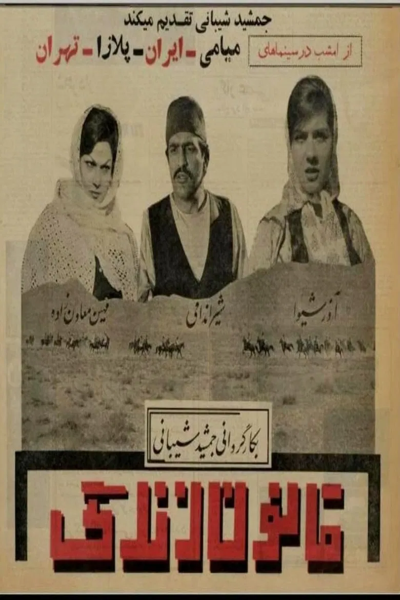 The Law of Life poster background