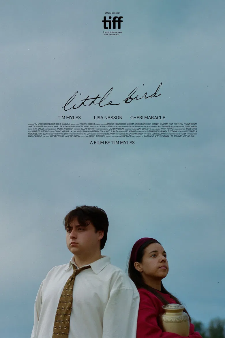 Little Bird poster background
