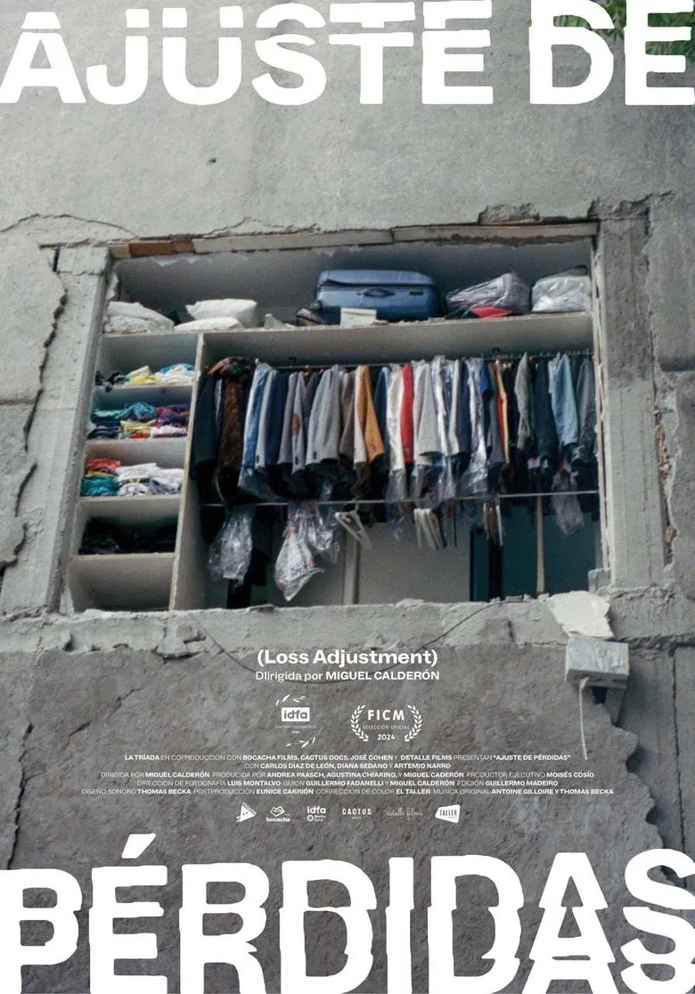 Loss Adjustment poster background