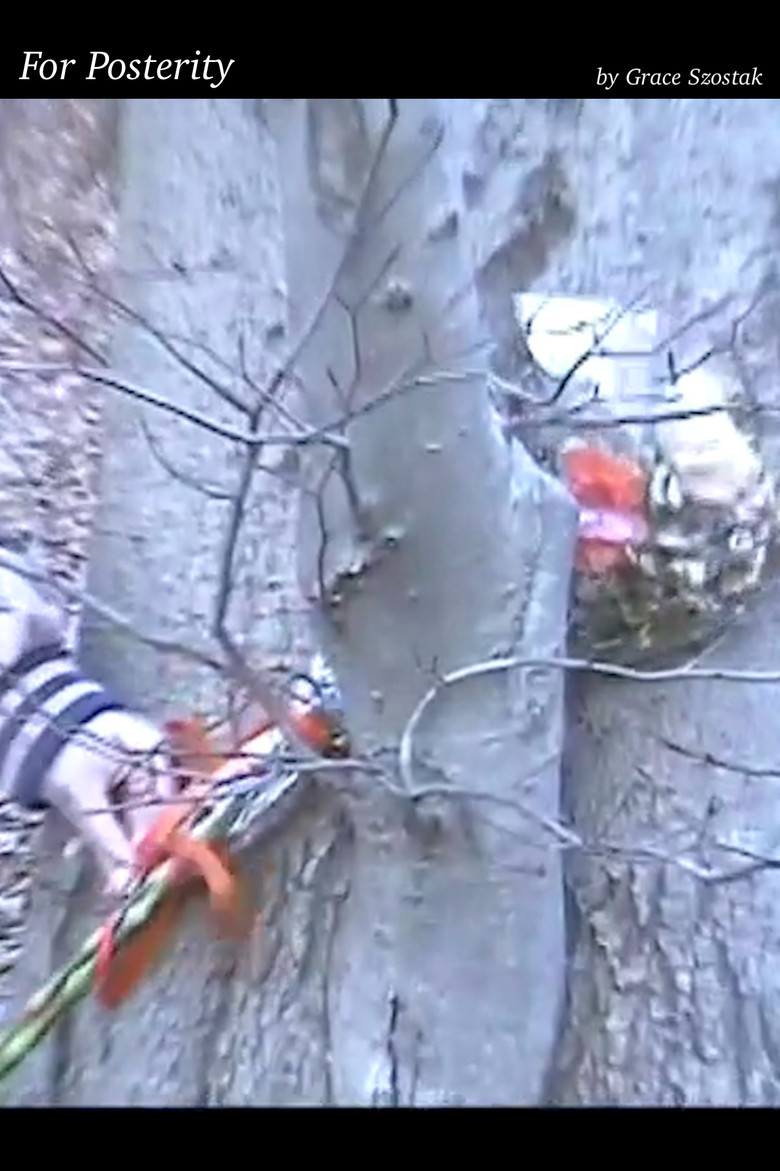 For Posterity poster background