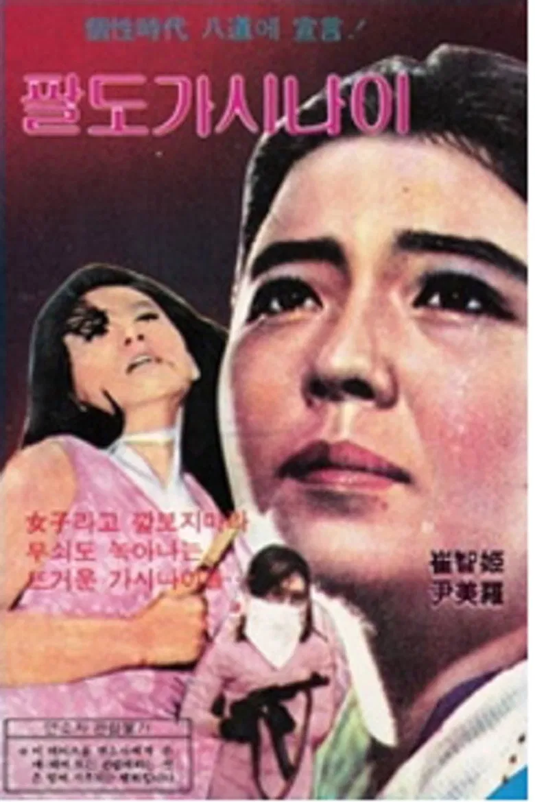 Girls from Eight Provinces poster background