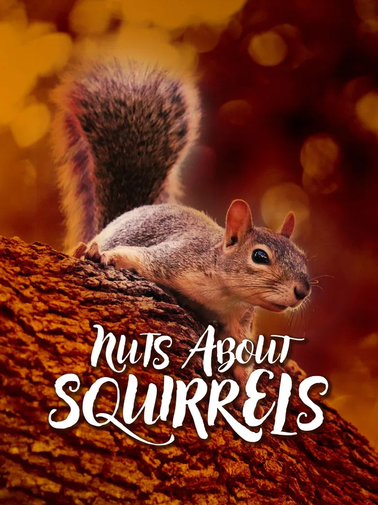 Nuts About Squirrels poster background