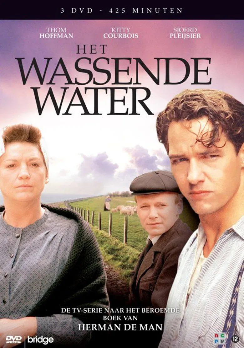 Het wassende water poster background
