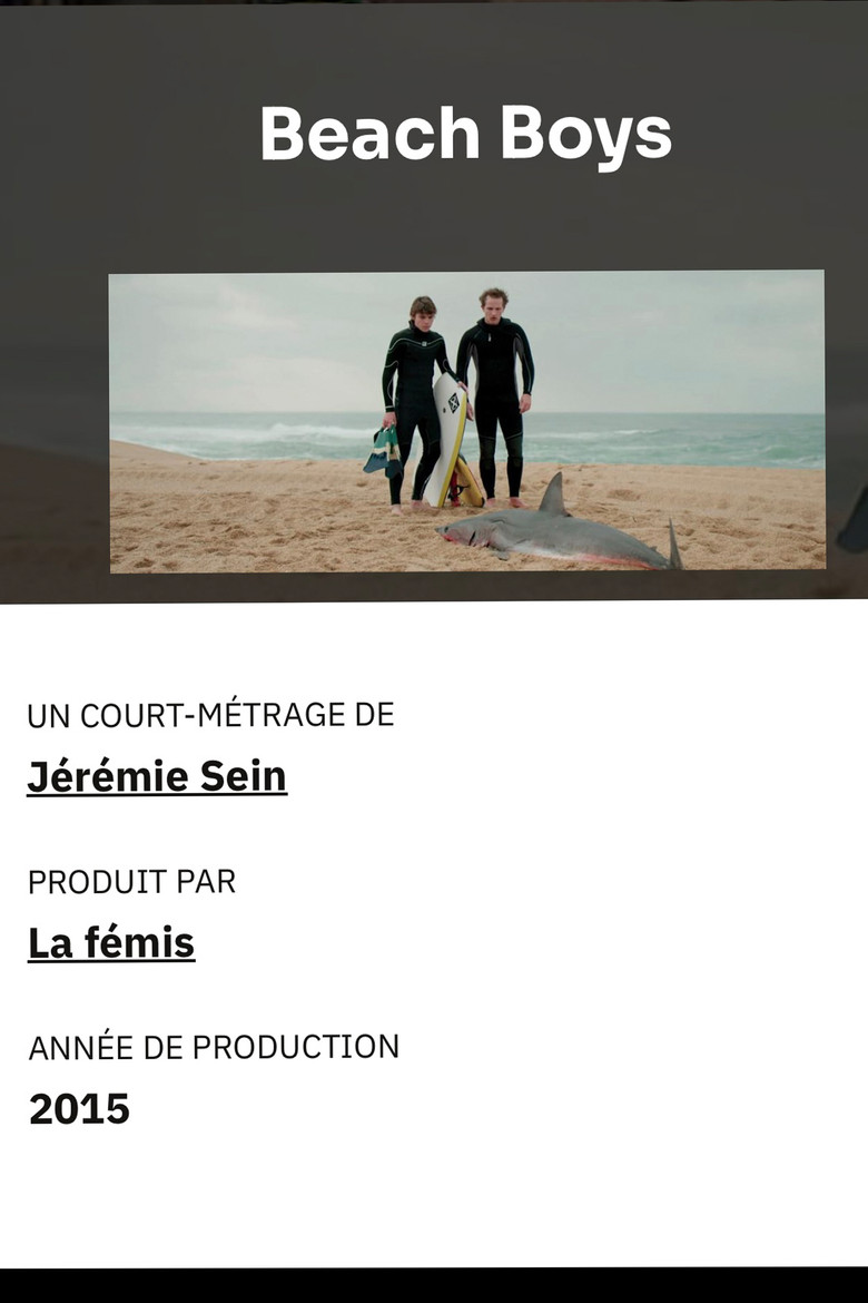 Beach Boys poster background