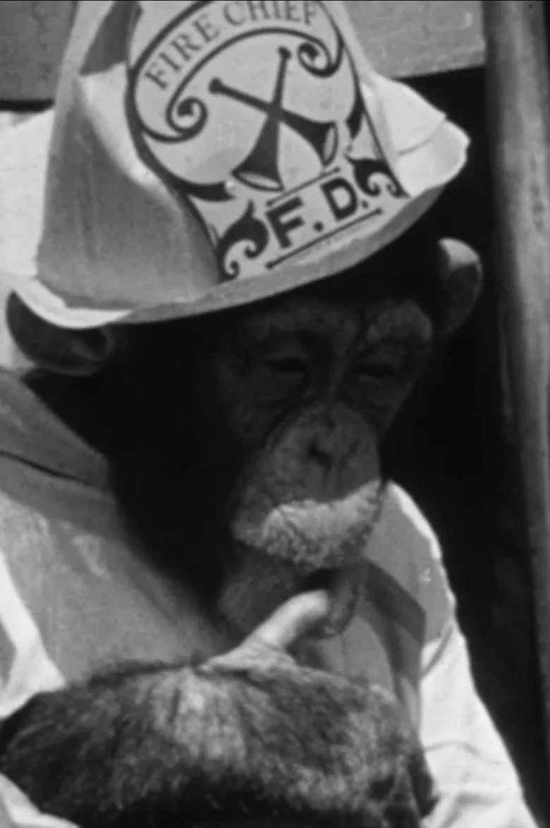 The Rookie Fireman poster background