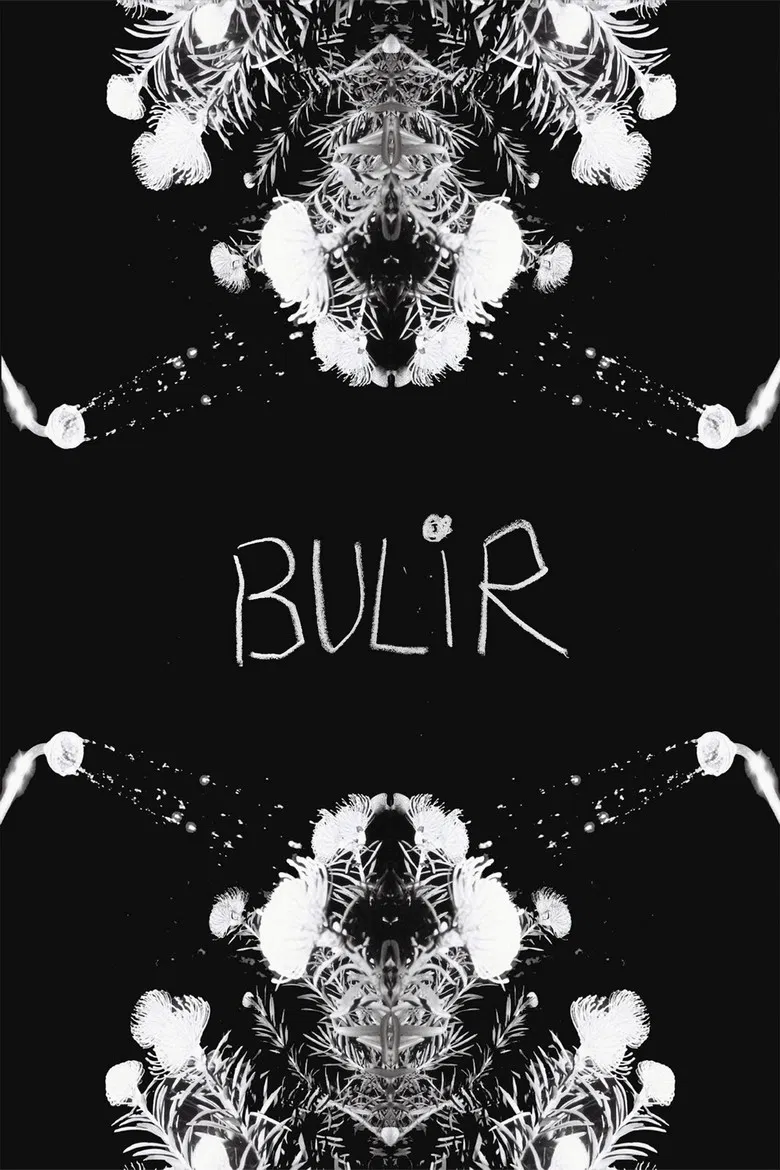 BULIR poster background