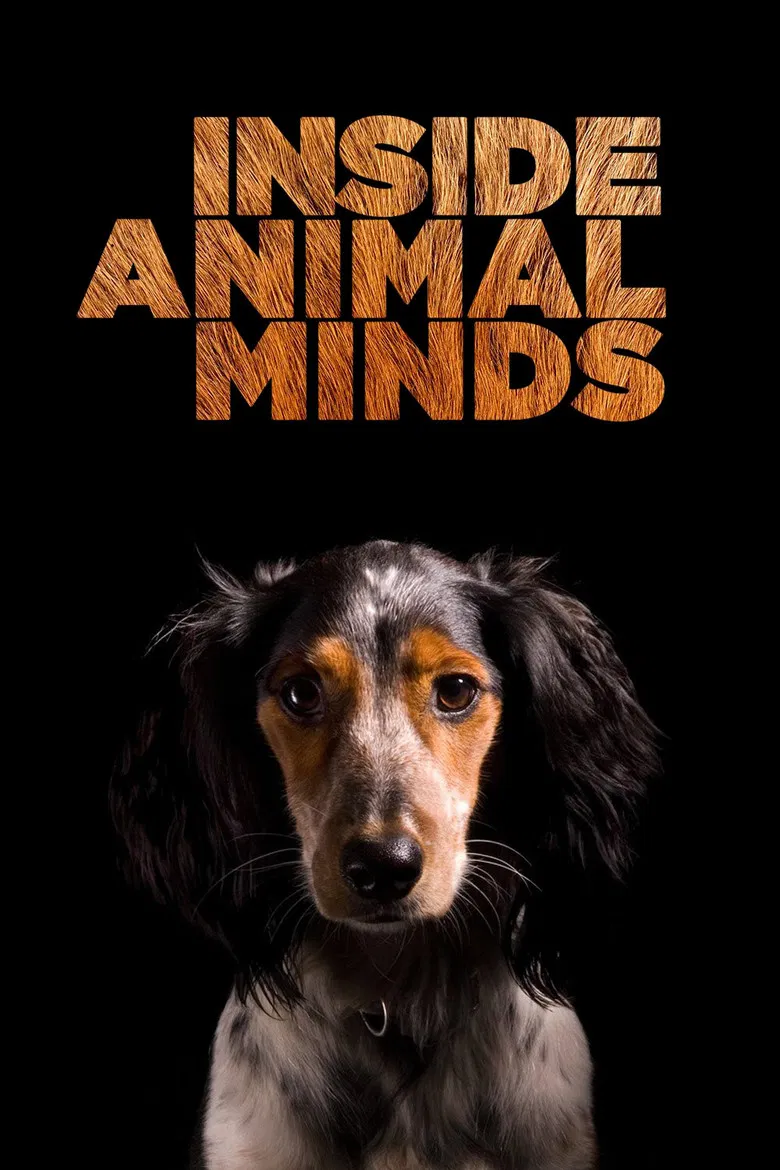 Inside Animal Minds poster background