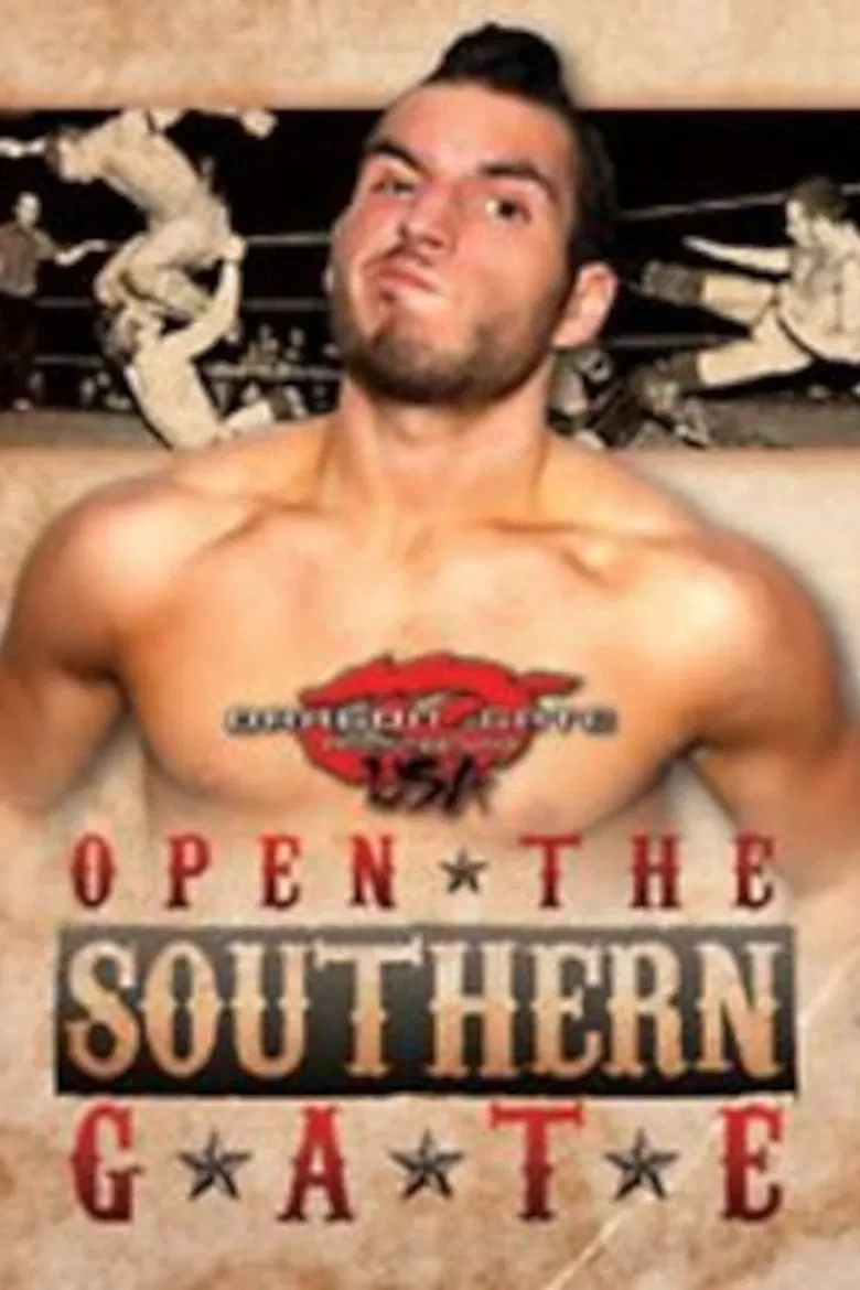 Dragon Gate USA Open The Southern Gate poster background