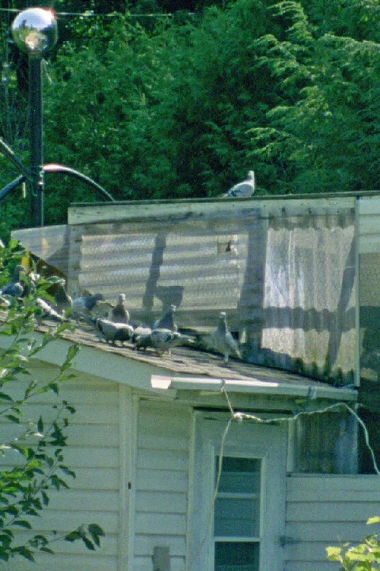 Peacock's Monologues poster background